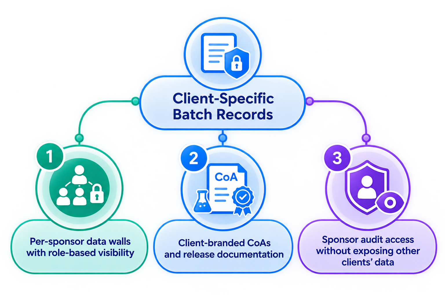 Client-Specific Batch Records